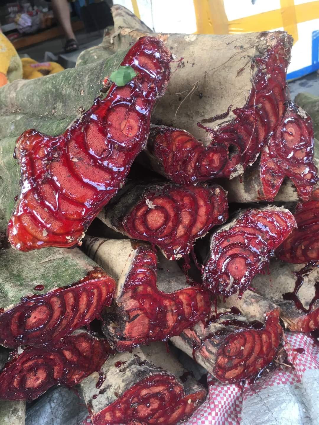 Kê Huyết Đằng Là Gì? Tác Dụng & Cách Sử Dụng