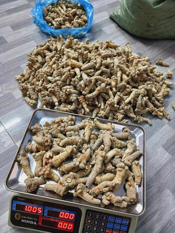 487815128_2484827775191673_4558007830028712772_n