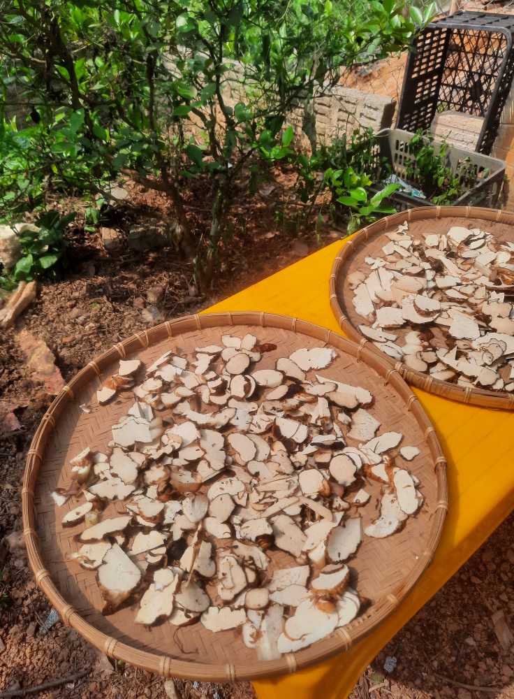 504334041_2547947138879736_5600122493148103336_n