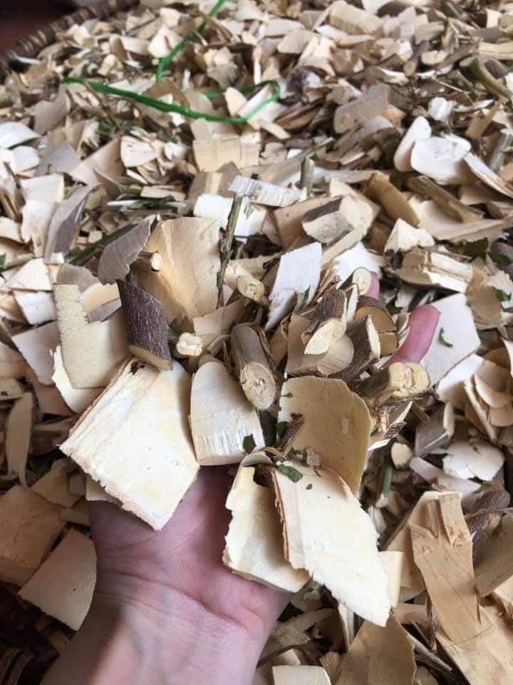 cay-ba-chac-chua-ghe (5)