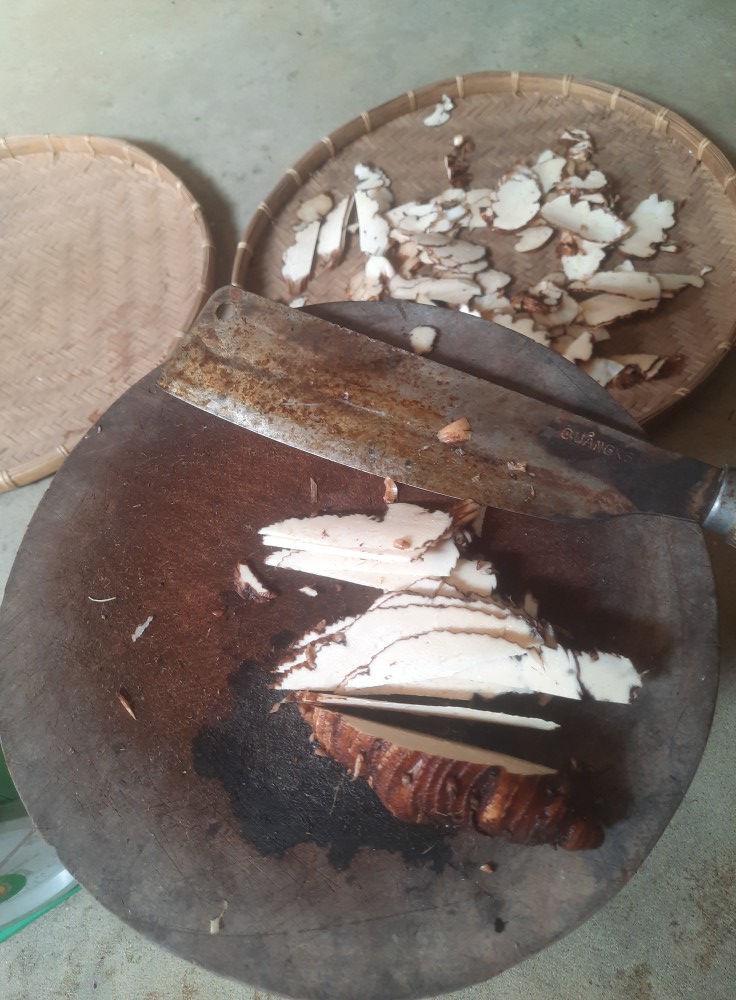 cu-that-diep-nhat-chi-hoa (5)