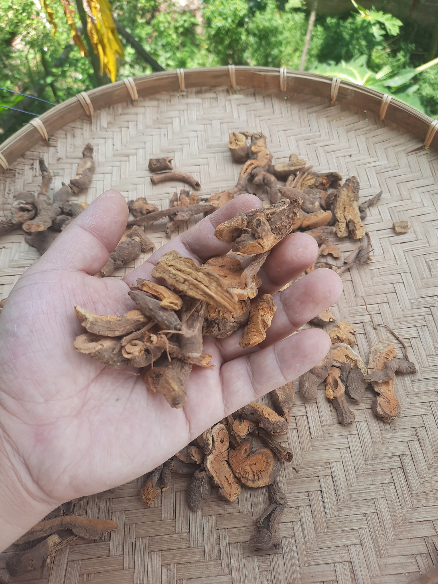 duoc-lieu-cot-khi-cu (2)