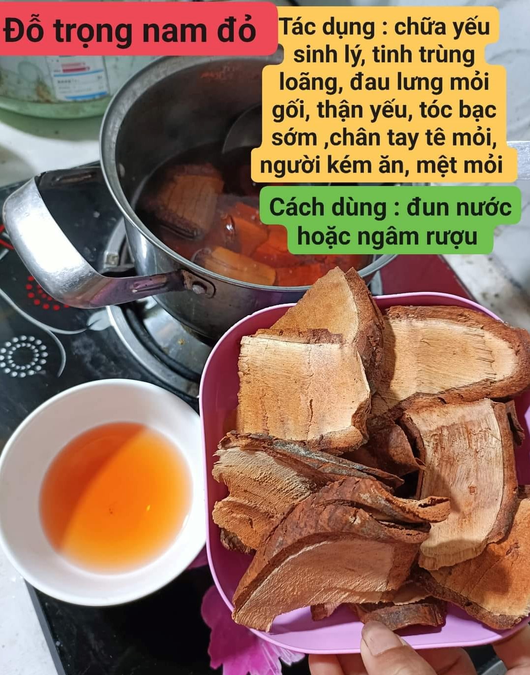 hinh-anh-cay-do-trong-nam (1)