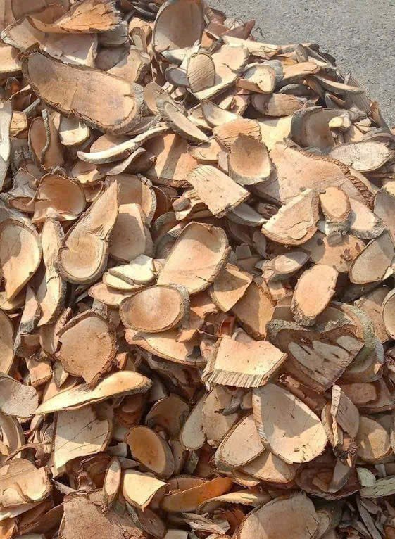 hinh-anh-cay-do-trong-nam (3)