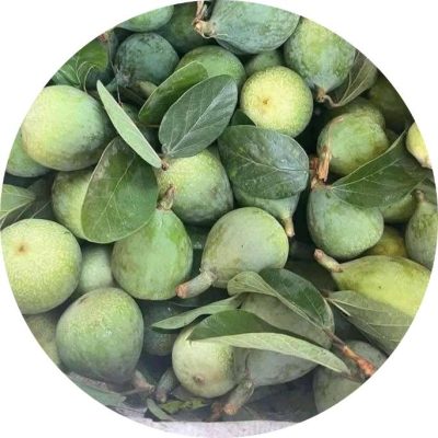 Hình Ảnh Quả Trâu Cổ Tươi