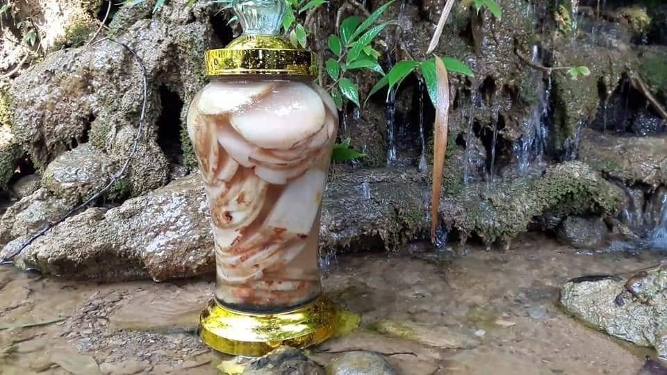 Cách Dùng Tầm Gửi Nghiến An Toàn & Một Số Lưu Ý