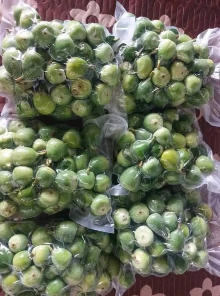 Quả Trâu Cổ Dùng Để Làm Gì? Một Số Lưu Ý Khi Sử Dụng