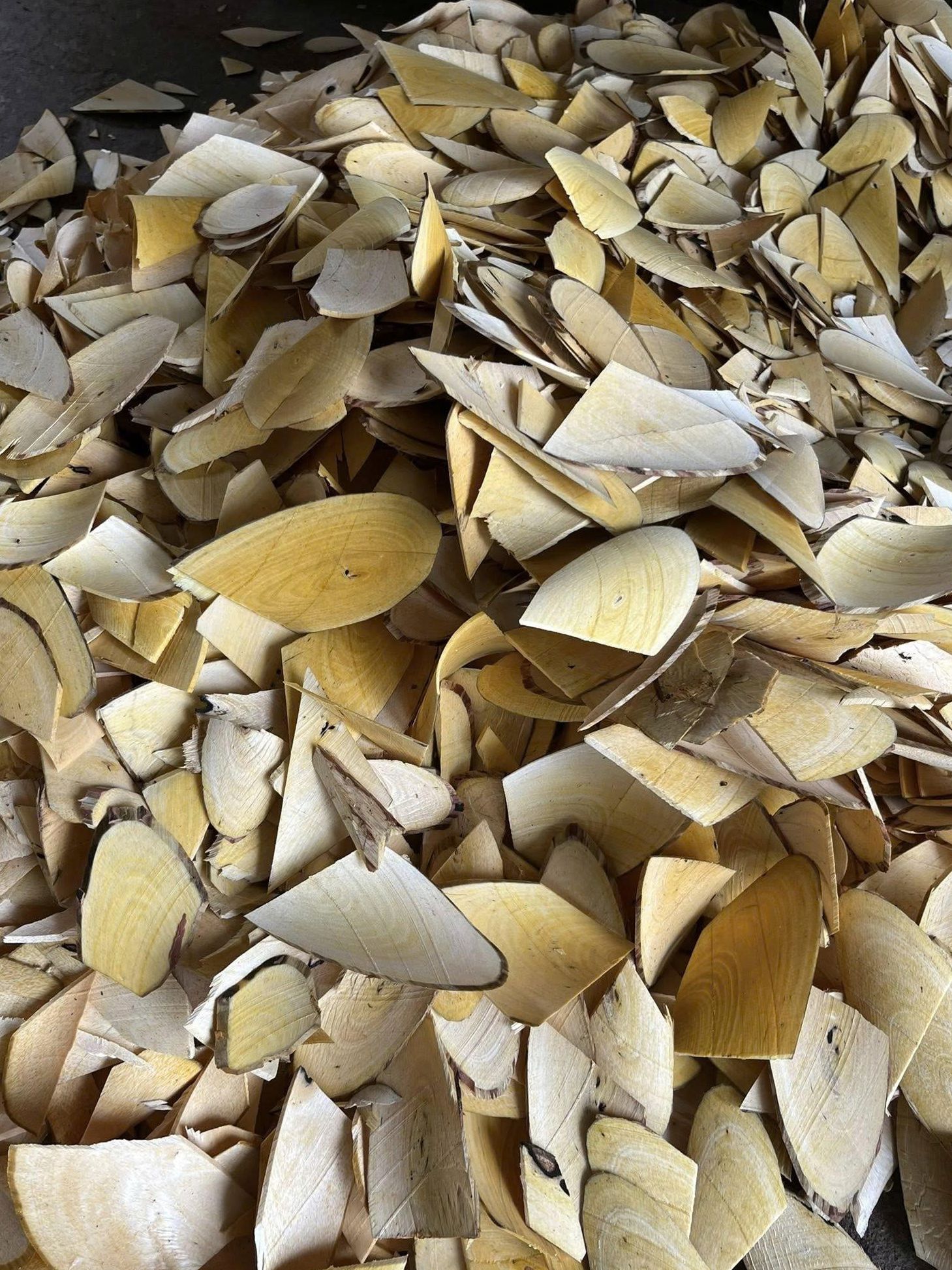 Tác Dụng Của Cây Hồng Rừng Đối Với Các Bệnh Về Gan