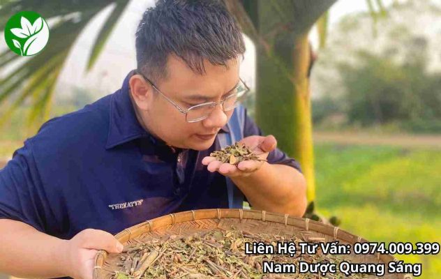 Cam kết chất lượng tầm gửi ngái