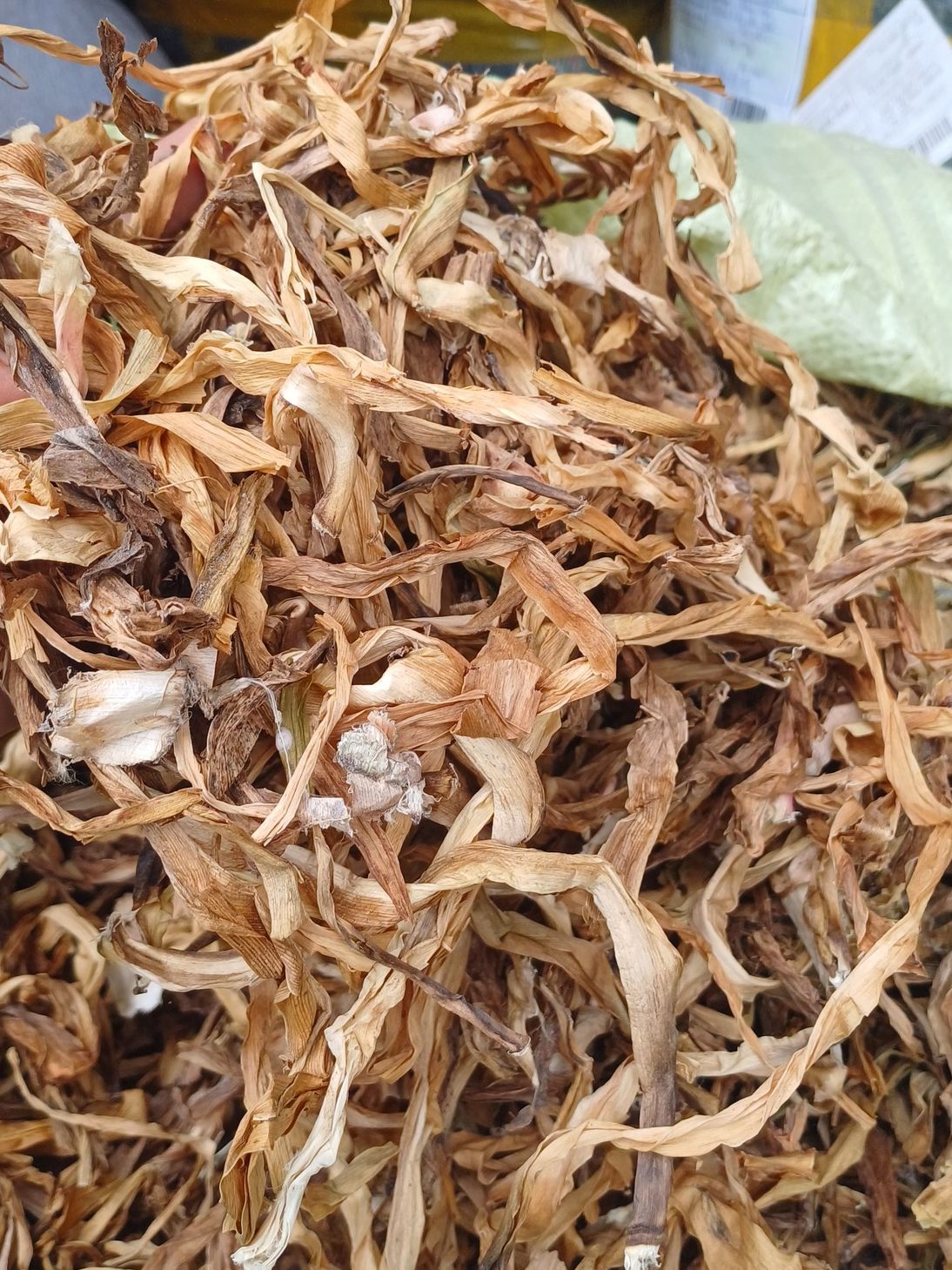 trinh-nu-hoang-cung-kho (1)