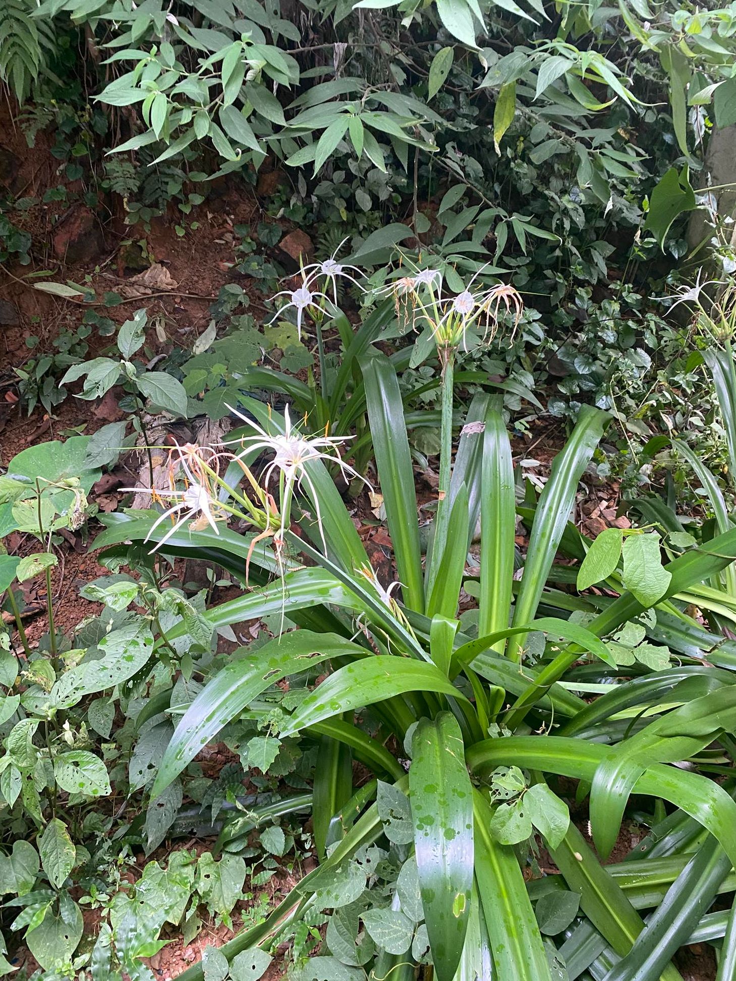 trinh-nu-hoang-cung-kho (2)